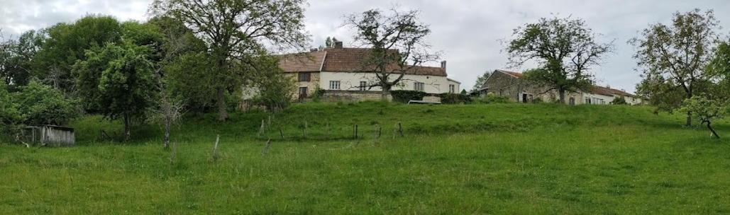 Chateau D'Impasse Laferté-sur-Amance Exterior foto